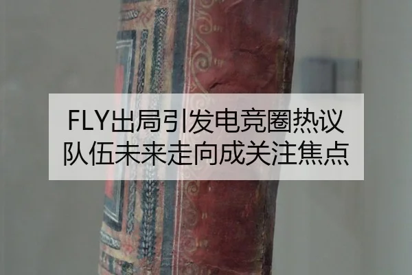 FLY出局引发电竞圈热议 队伍未来走向成关注焦点
